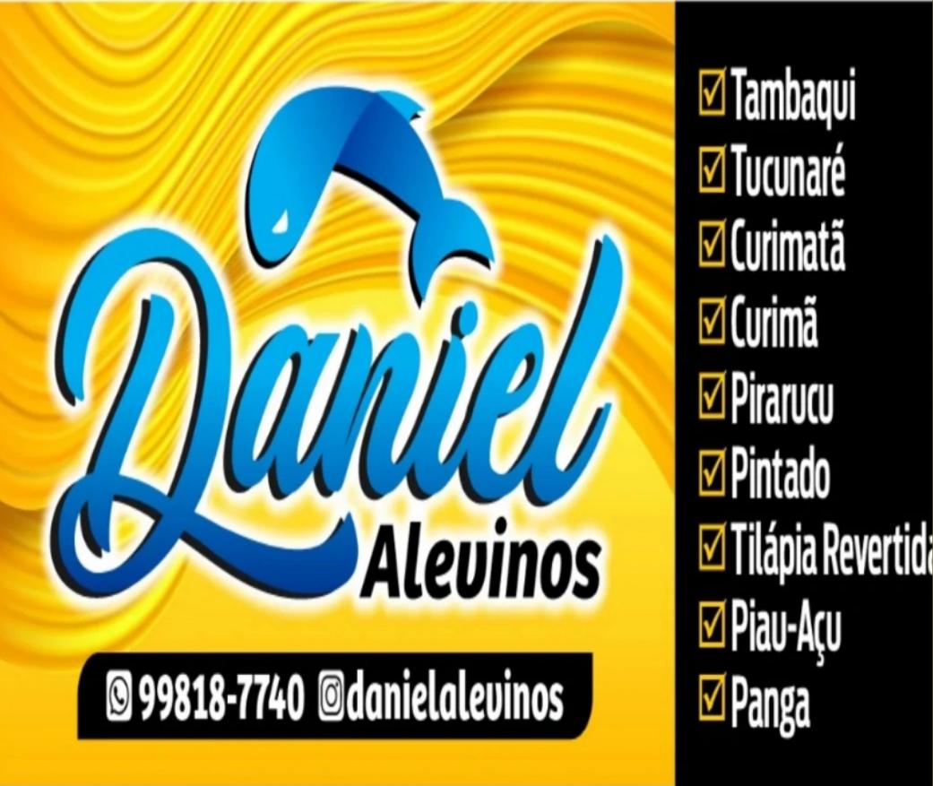 Read more about the article Daniel Alevinos